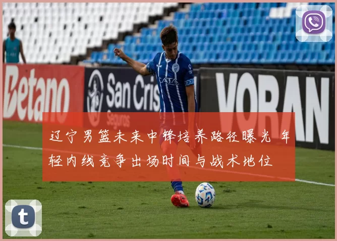 辽宁男篮未来中锋培养路径曝光 年轻内线竞争出场时间与战术地位