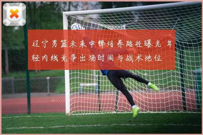 辽宁男篮未来中锋培养路径曝光 年轻内线竞争出场时间与战术地位
