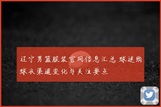 辽宁男篮服装官网信息汇总 球迷购球衣渠道变化与关注要点