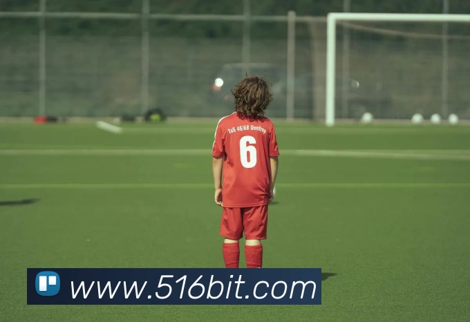 滚球官网app平台生态图